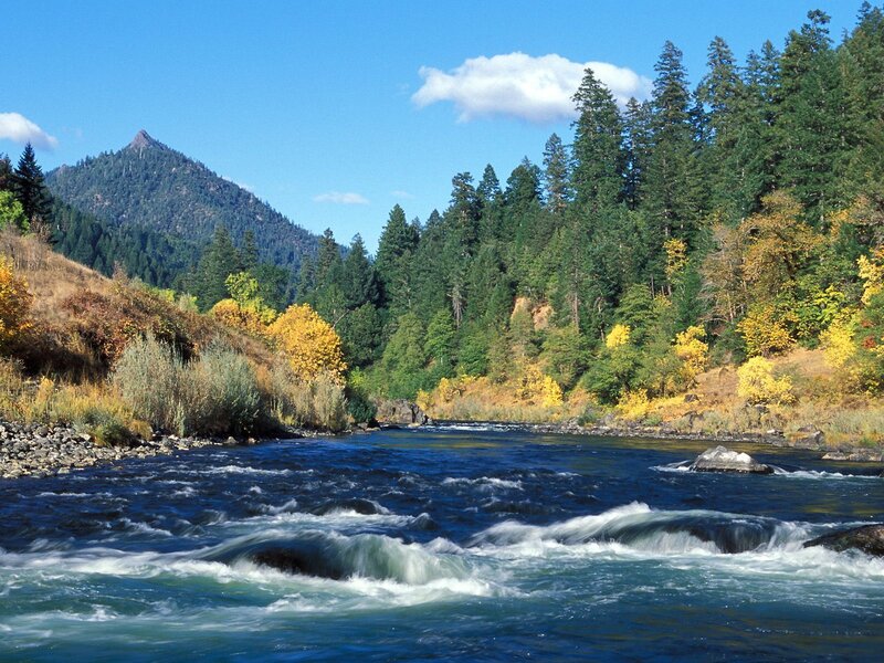 River flowing through forested valley