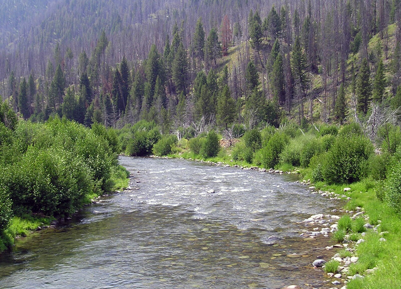 river flowing through forested valley