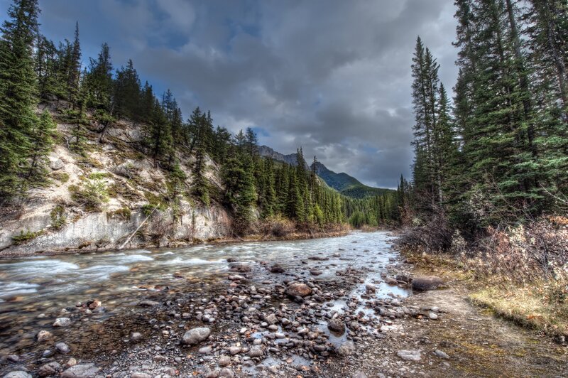 River flowing through forested valley