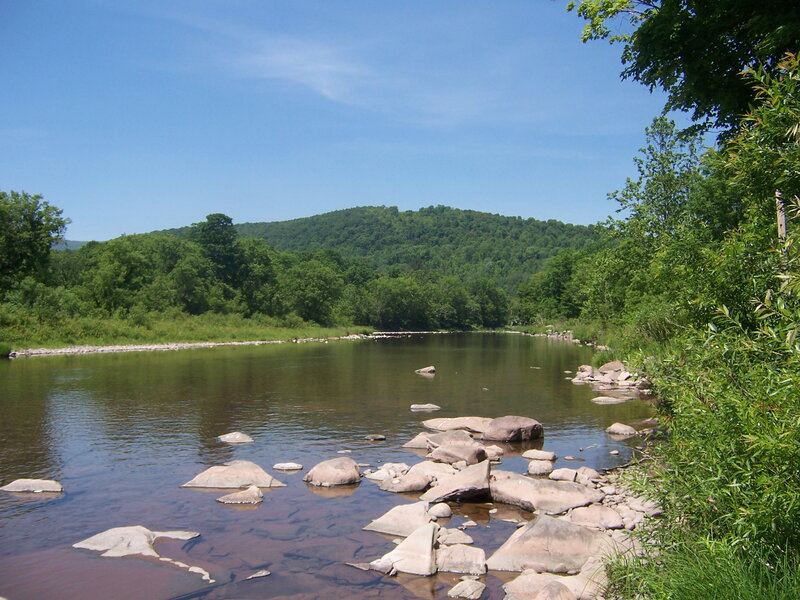 River flowing through forested valley