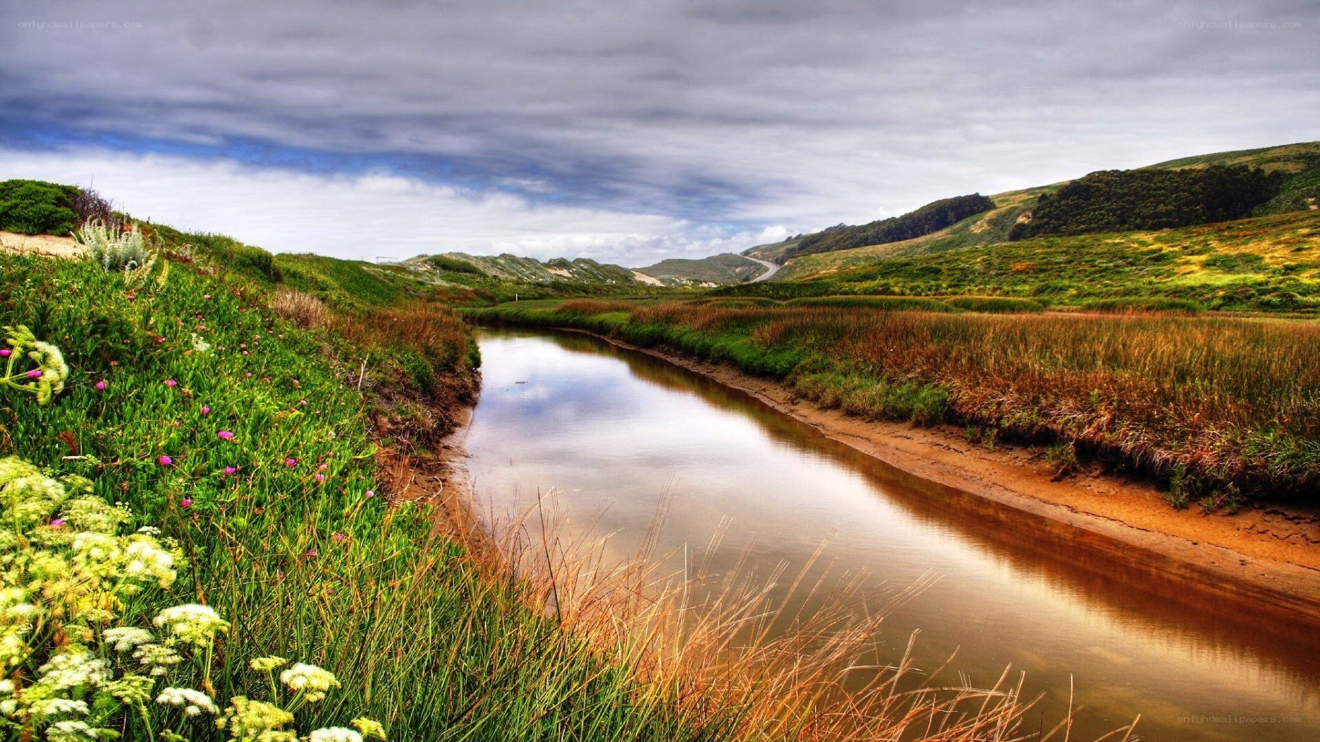 River flowing through green hills