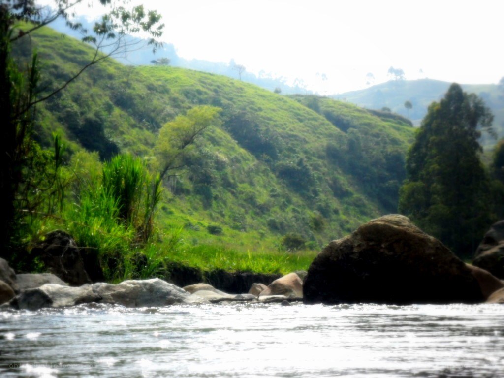 River flowing through green hills
