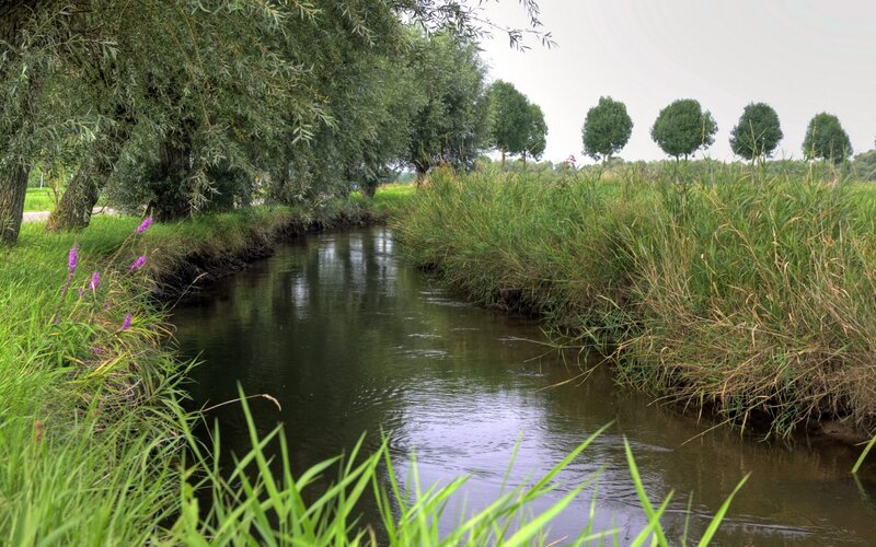 River flowing through green landscape