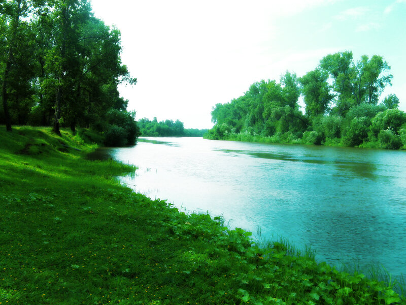 River flowing through green landscape
