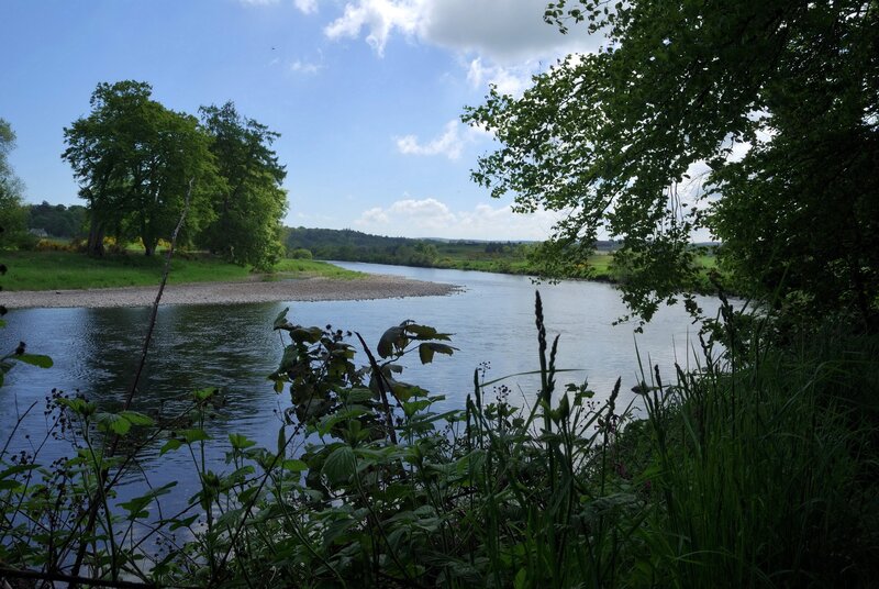River Flowing Through Green Landscape — Serene