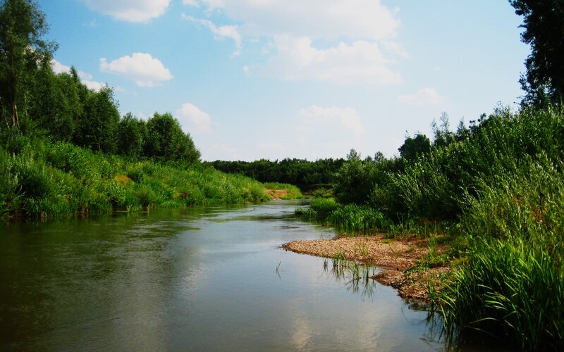 River flowing through green landscape