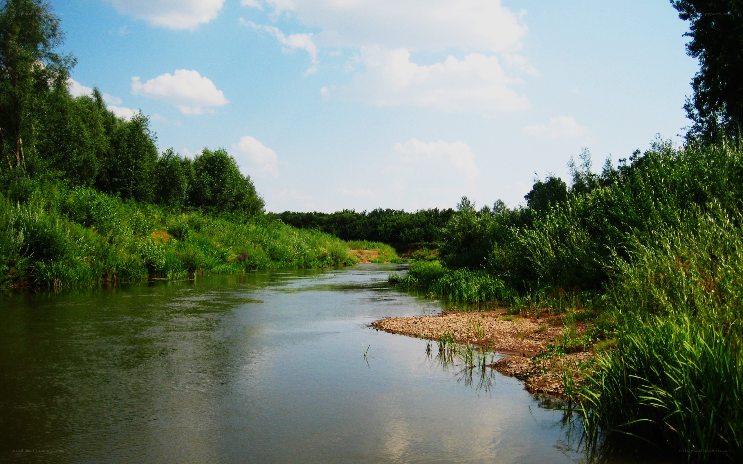 River flowing through green landscape