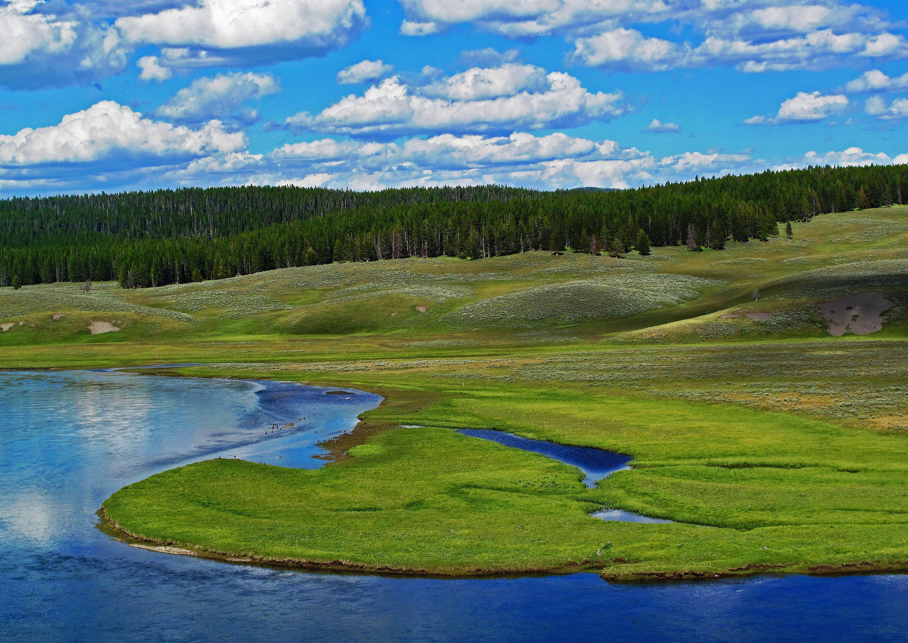 river flowing through green meadow