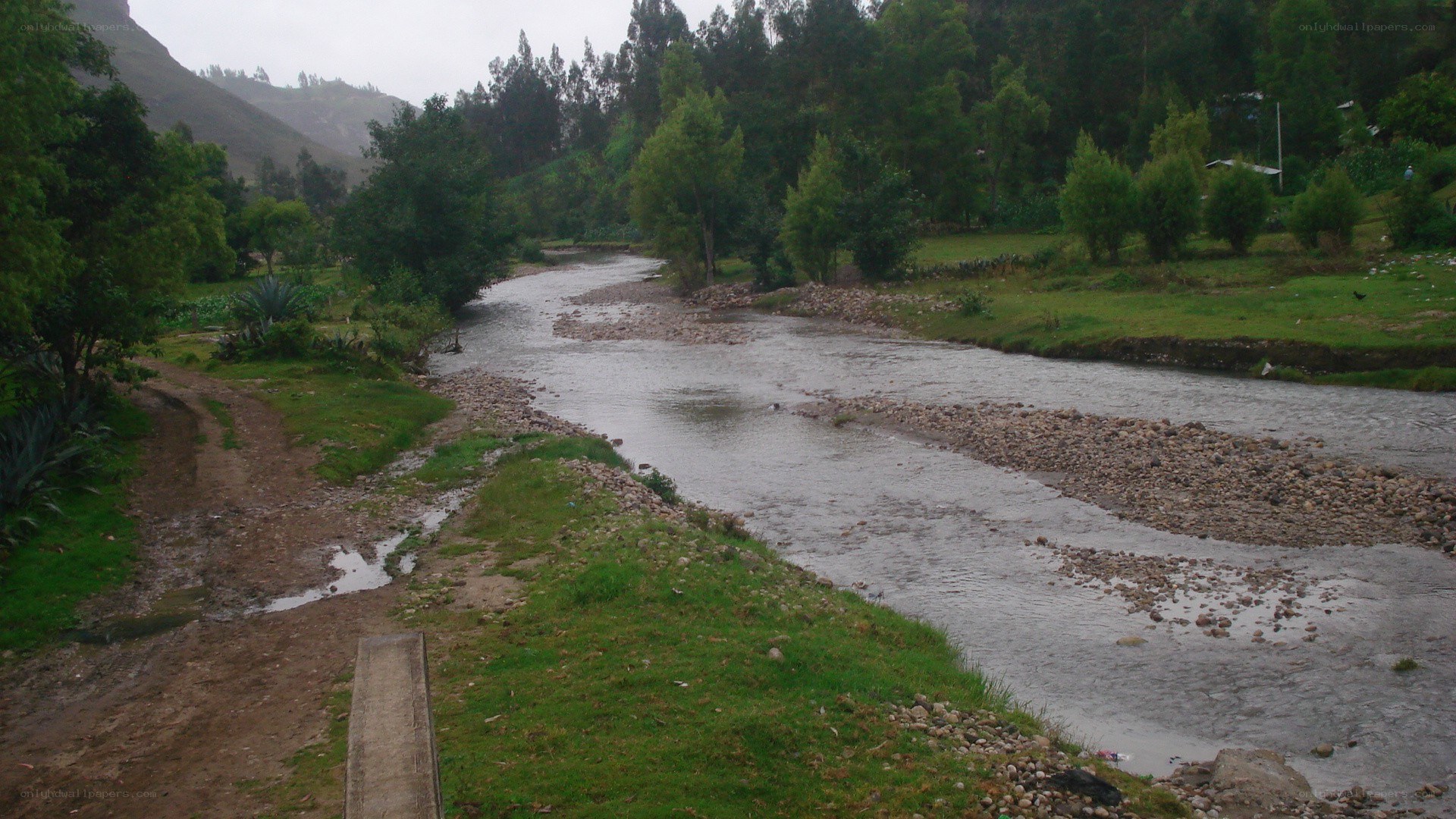 River flowing through green valley
