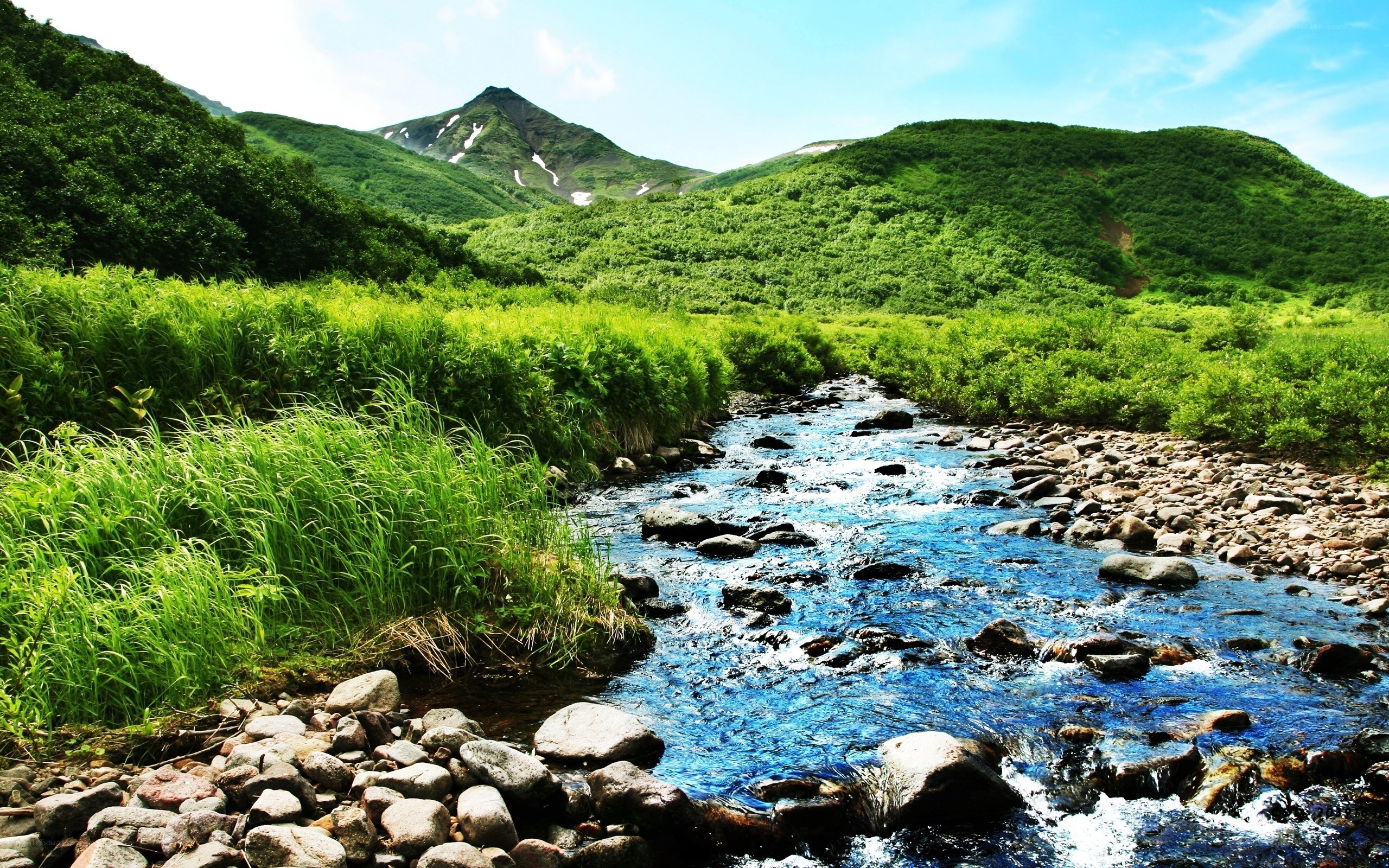 River flowing through green valley