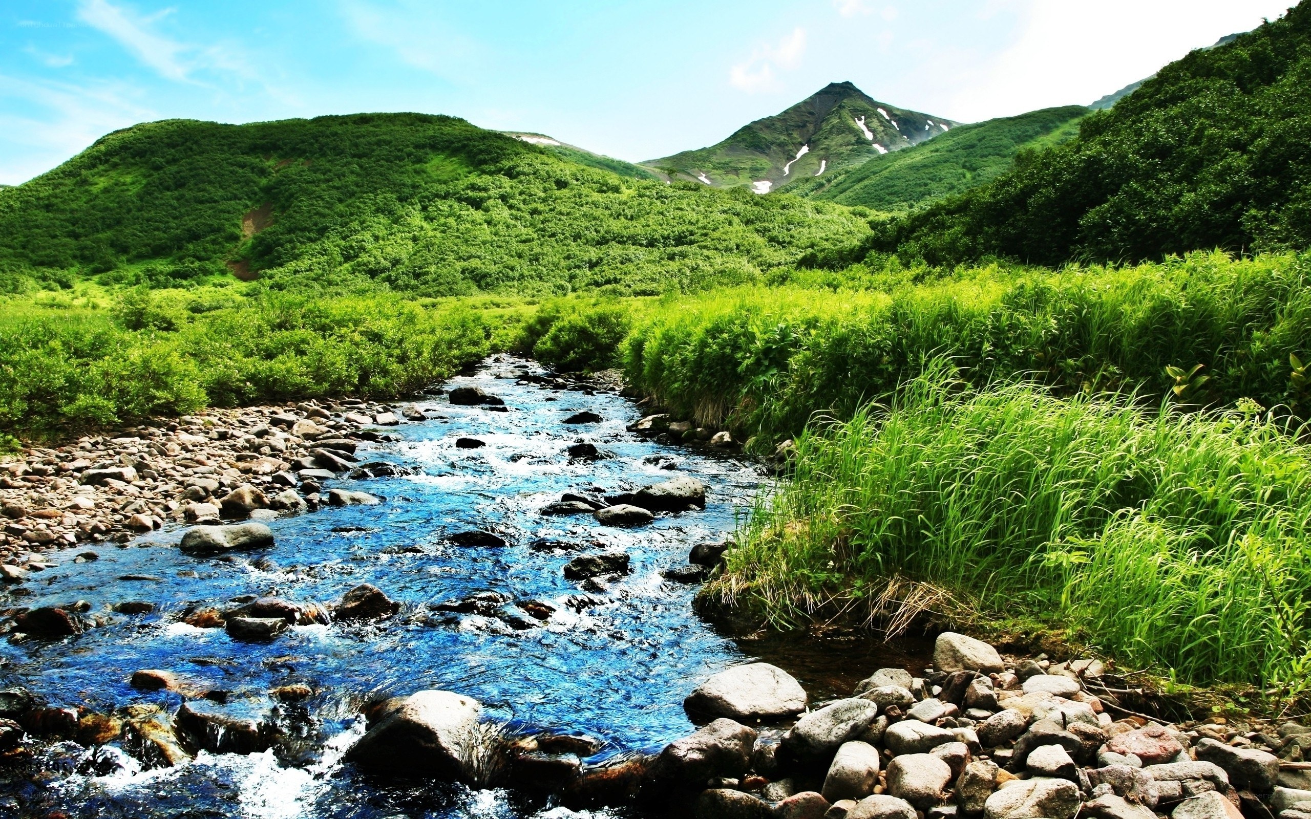 River flowing through green valley
