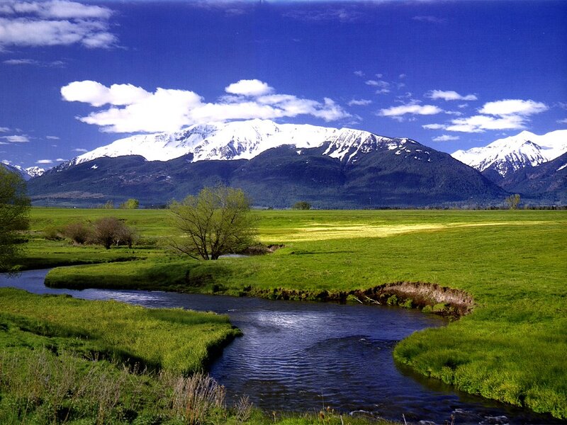 River flowing through green valley