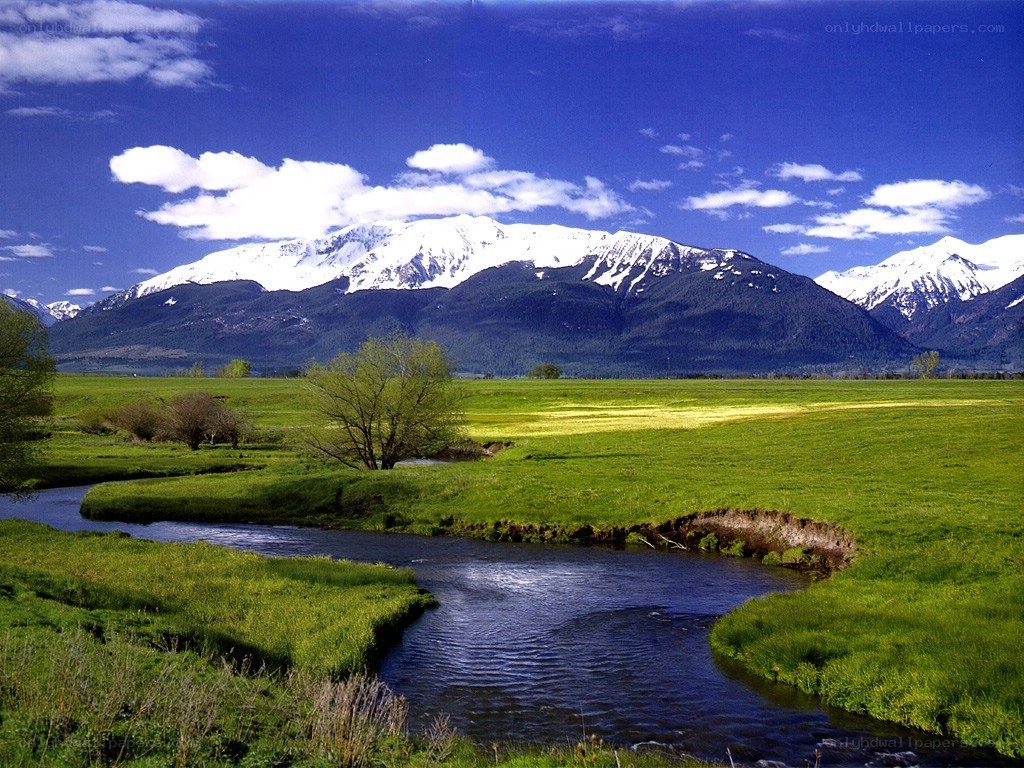 River flowing through green valley