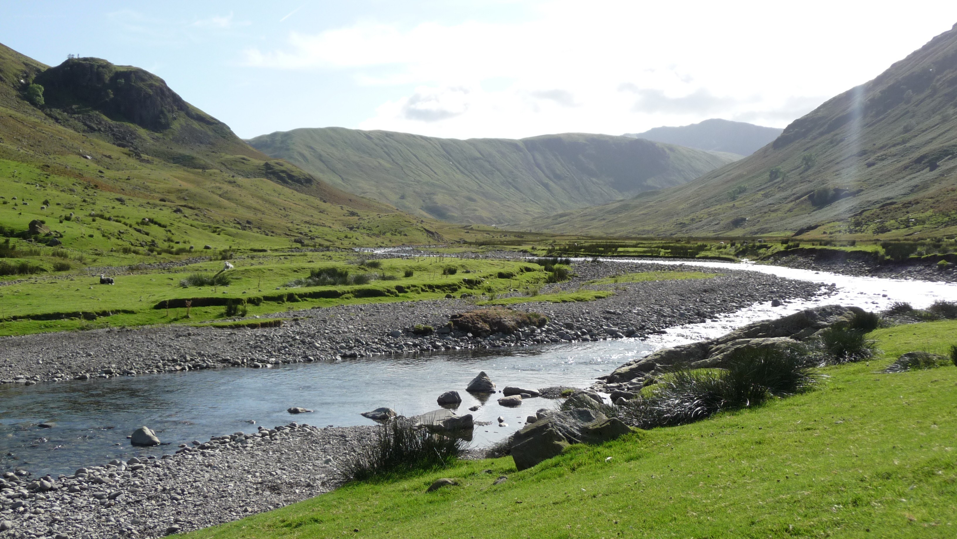 river flowing through green valley