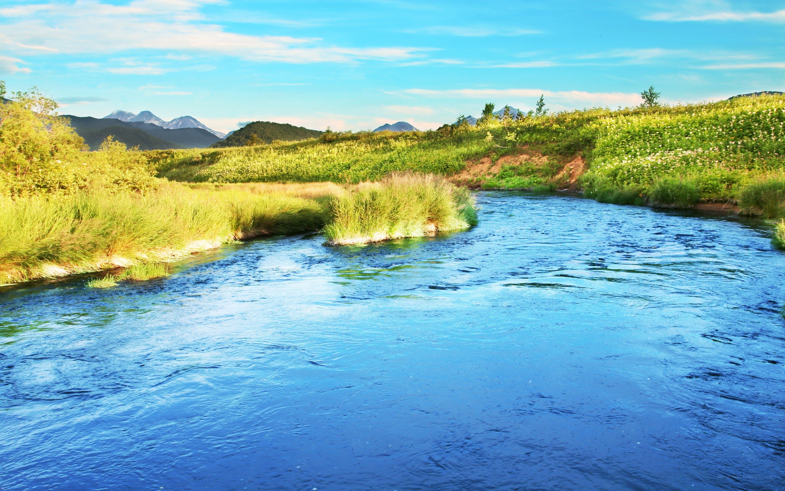 River flowing through green valley