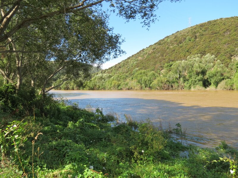 River flowing through green valley