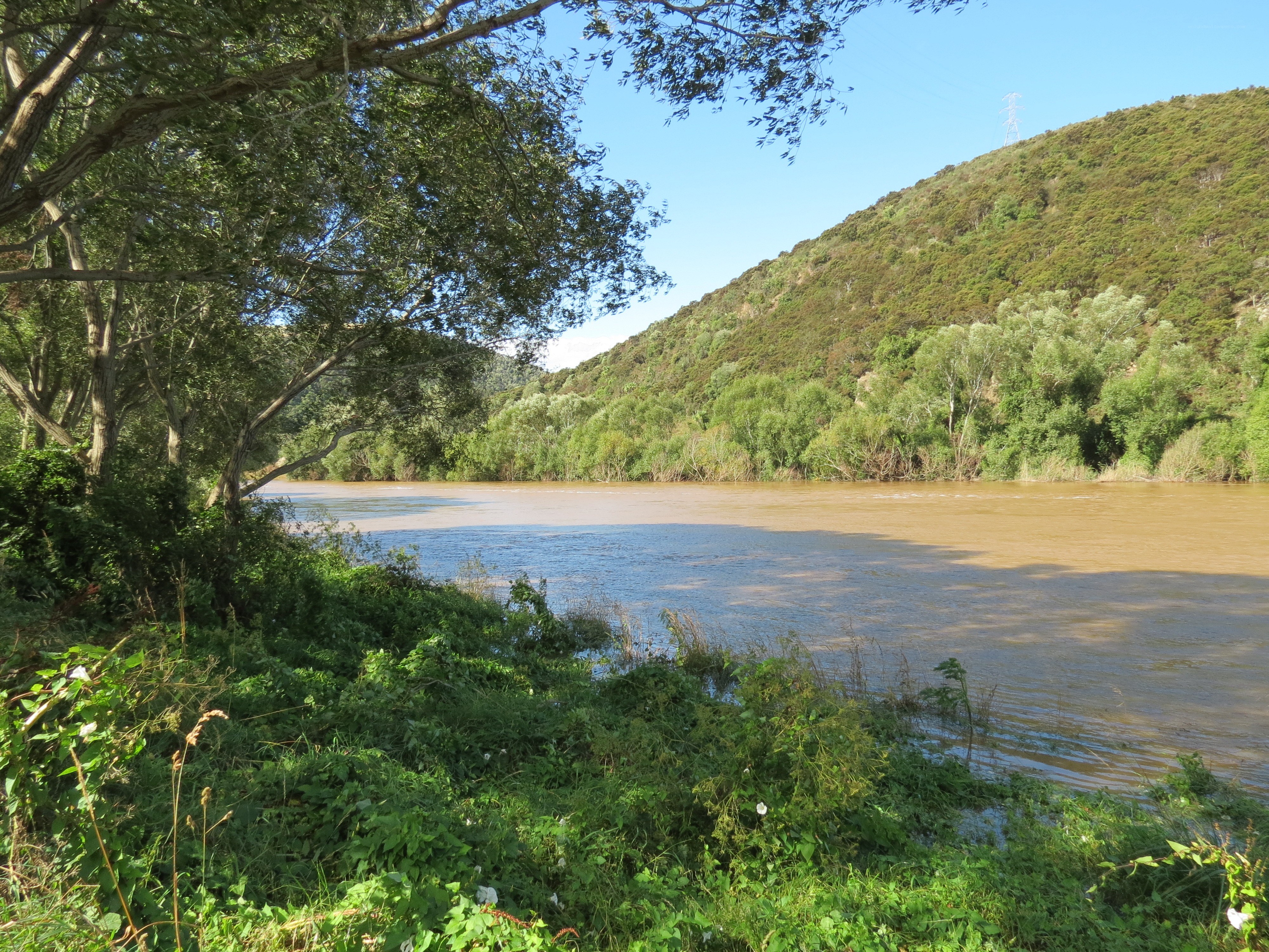 River flowing through green valley
