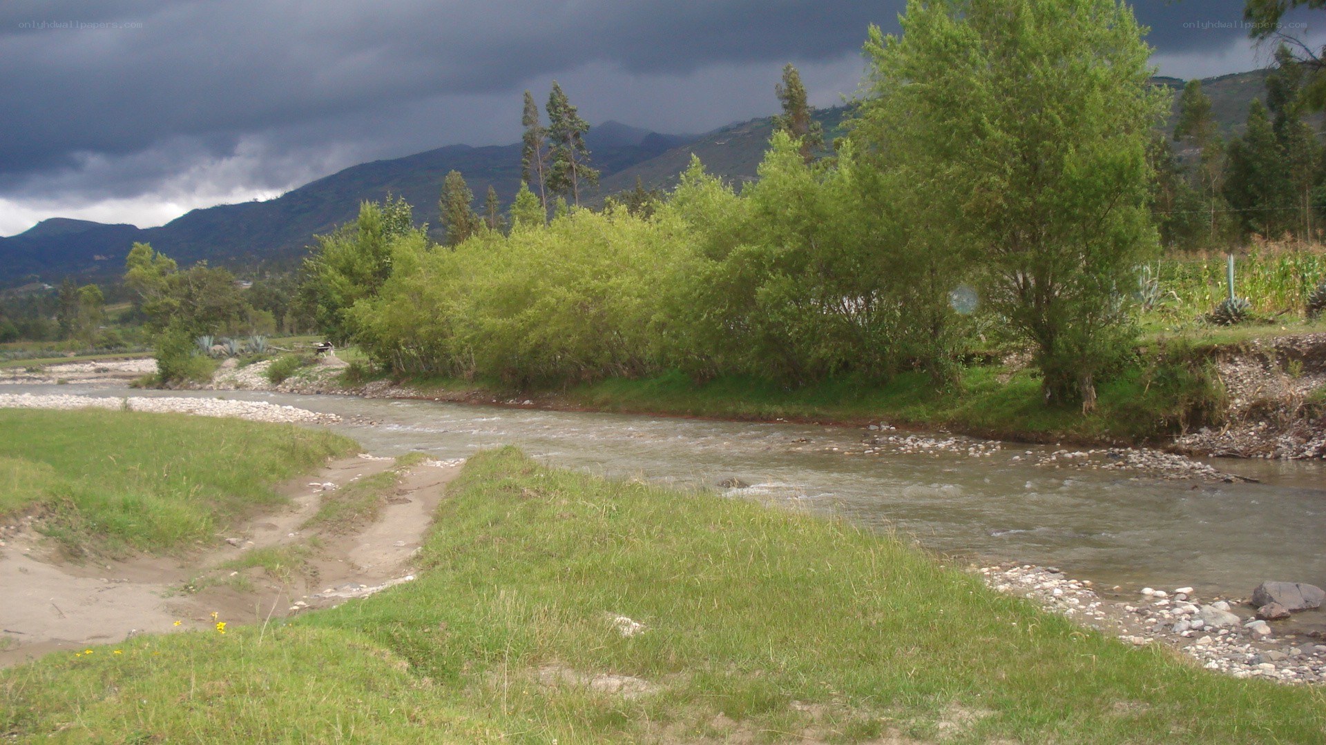 River flowing through green valley