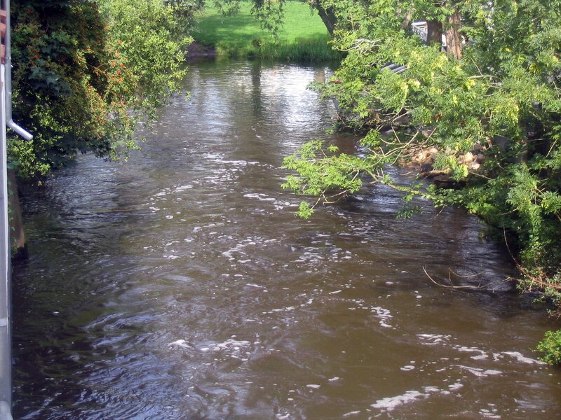 River flowing through greenery