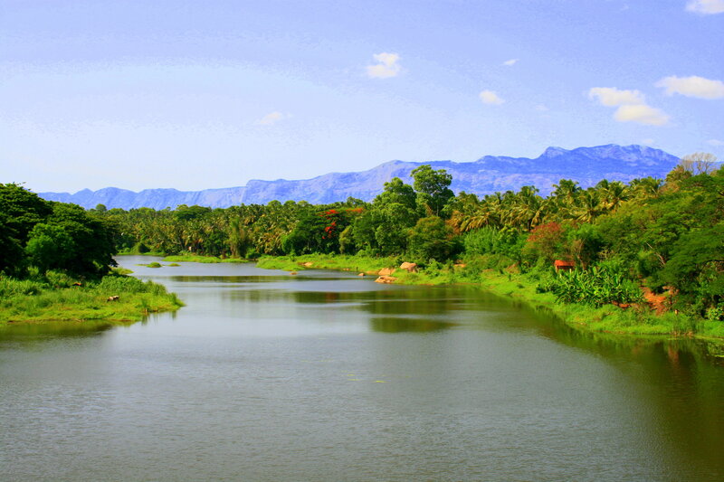 River Flowing Through Jungle