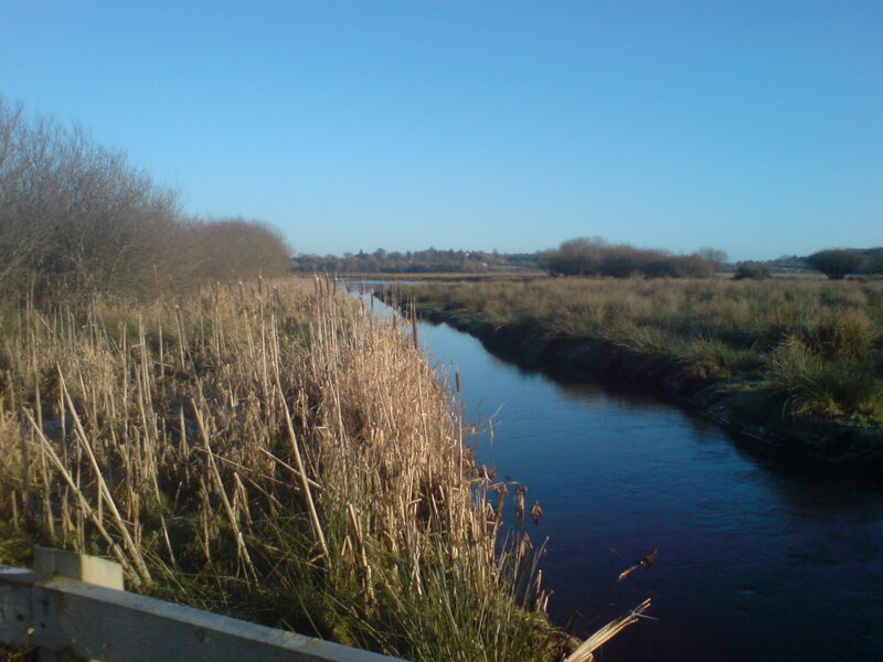 River Flowing Through Marsh — Blue