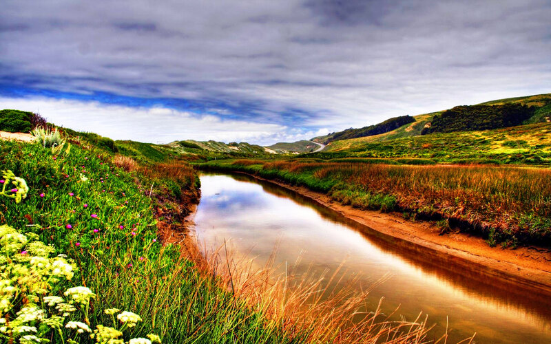 River Flowing Through Marsh — Green, Serene, Afternoon