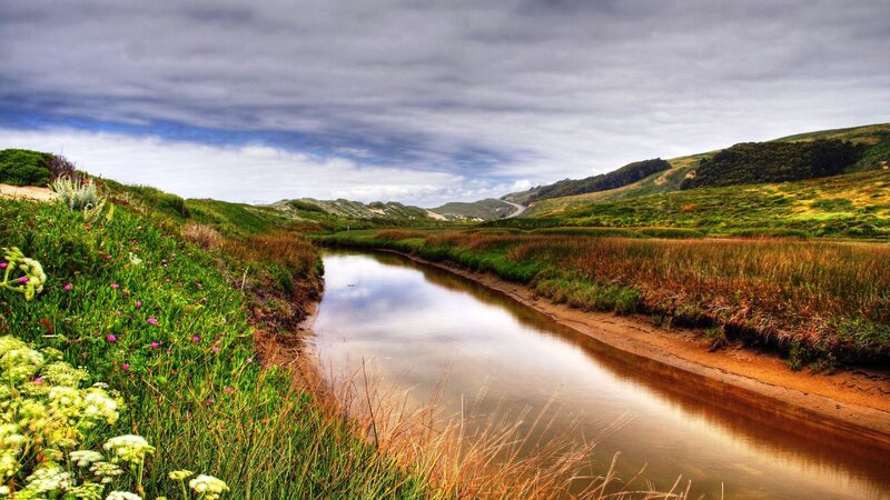 River Flowing Through Marsh — Green, Serene