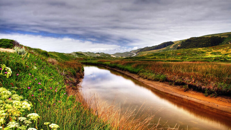 River Flowing Through Marsh — Green