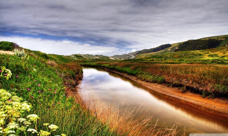 River Flowing Through Marsh
