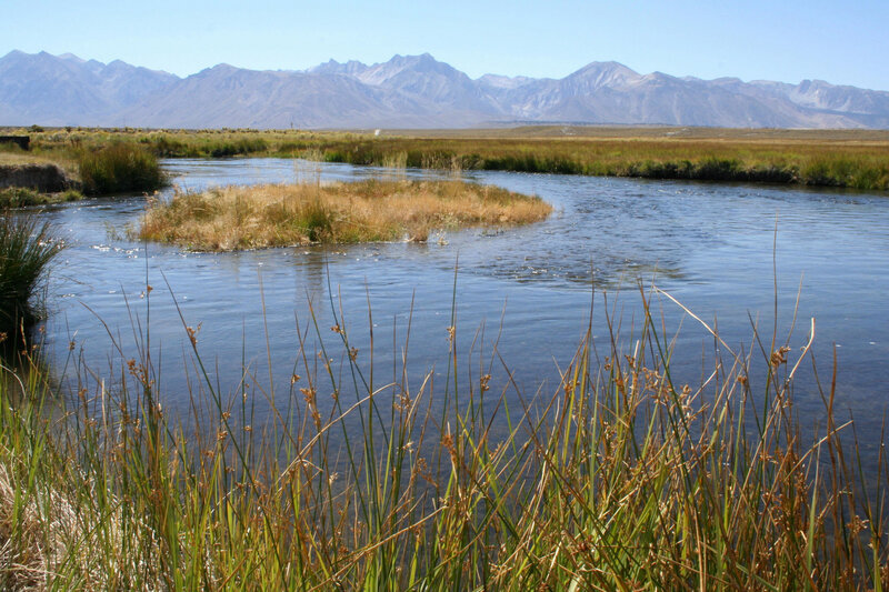 river flowing through marshland