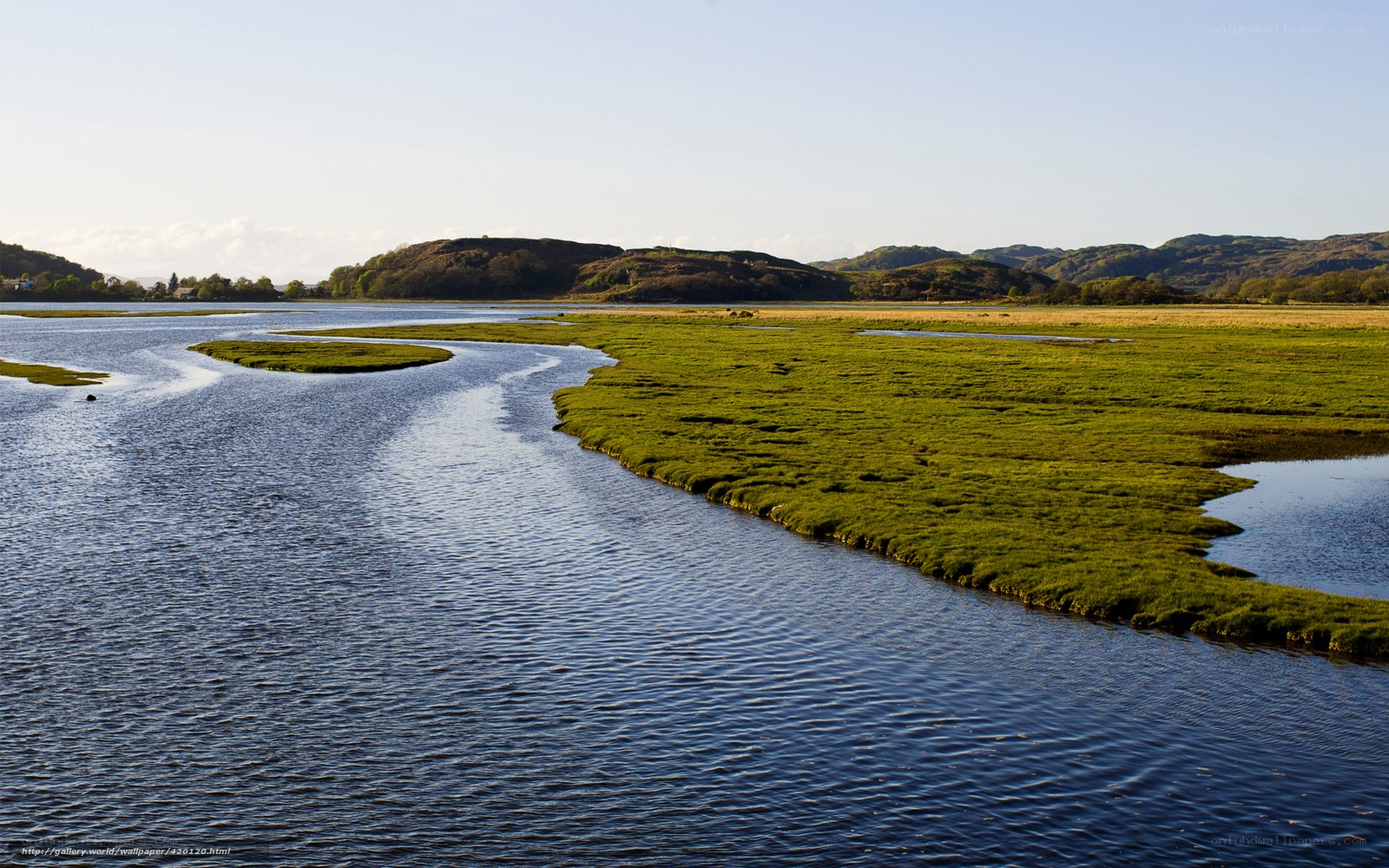 river flowing through marshland