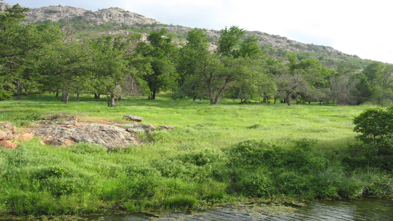 River Flowing Through Meadow — Green, Serene, Afternoon