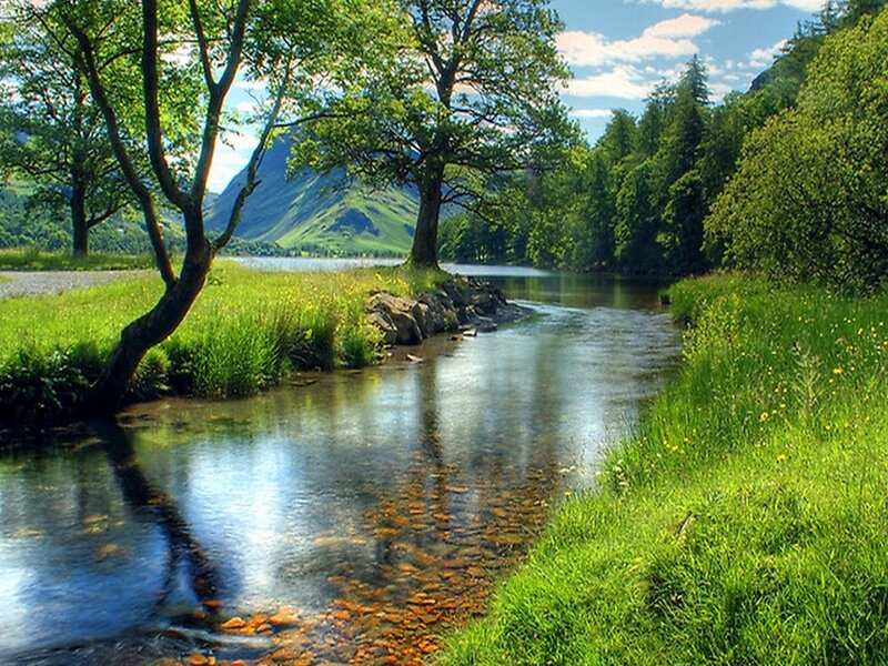 River Flowing Through Meadow — Green, Serene