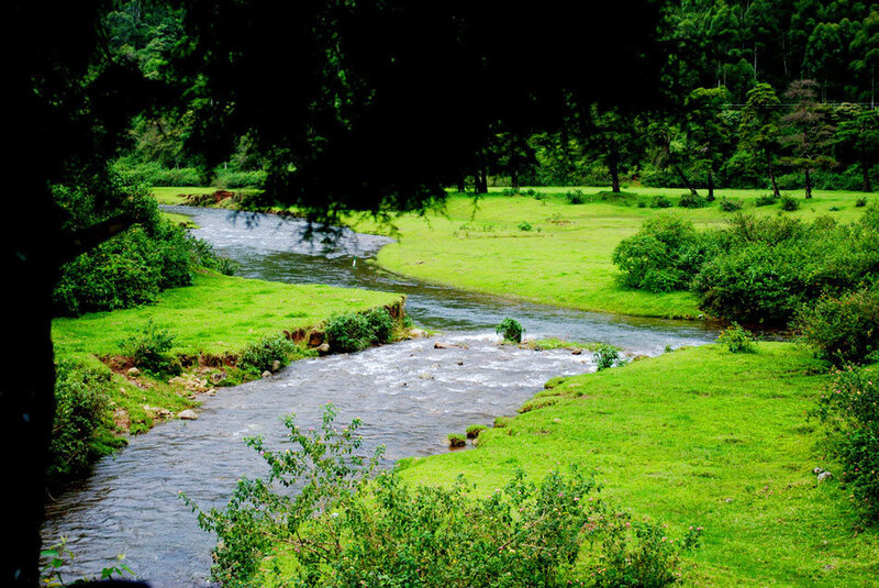 River Flowing Through Meadow — Green