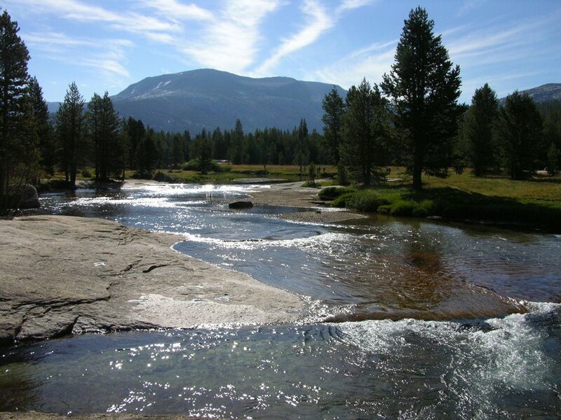 River Flowing Through Meadow