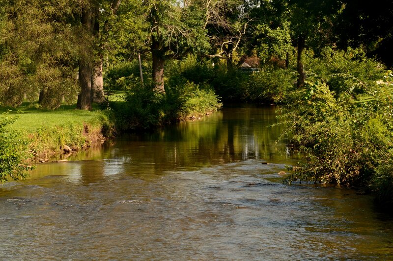 River Flowing Through Park — Green, Serene, Afternoon