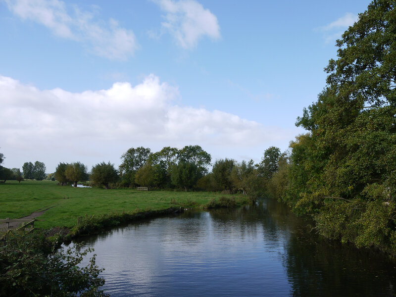 River Flowing Through Park — Green