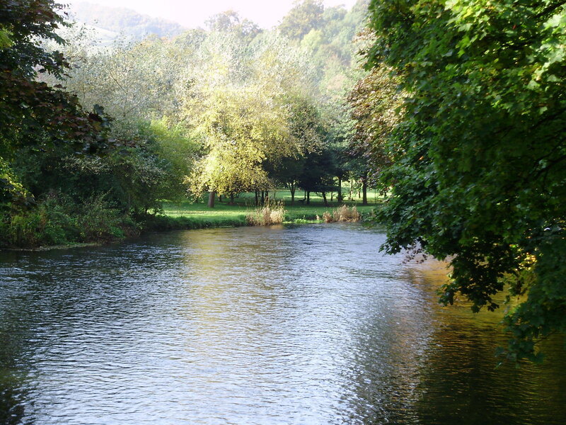 River Flowing Through Park