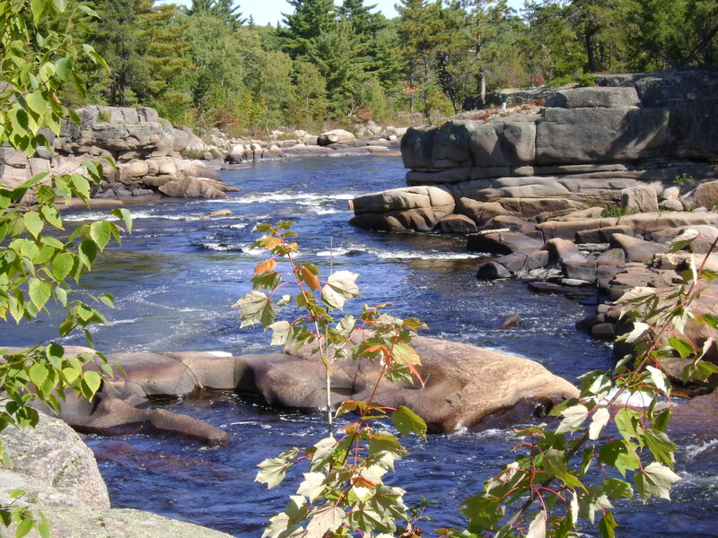 River Flowing Through Rocks — Blue, Serene, Afternoon, Photograph, Trees, Leaves