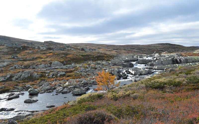 River Flowing Through Rocks — Gray, Serene, Autumn
