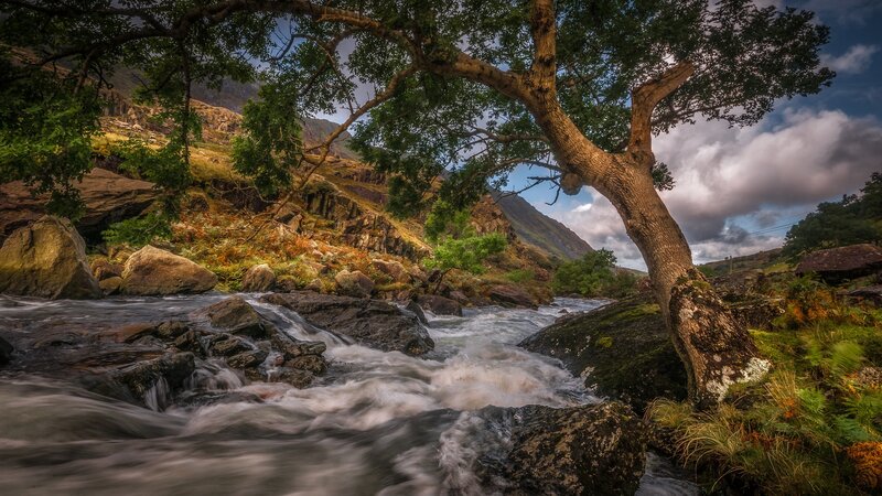 River Flowing Through Rocks — Green, Dramatic, Afternoon