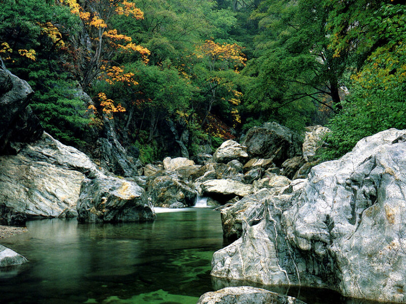 River Flowing Through Rocks — Green, Serene, Autumn, Photograph, Trees, Stream