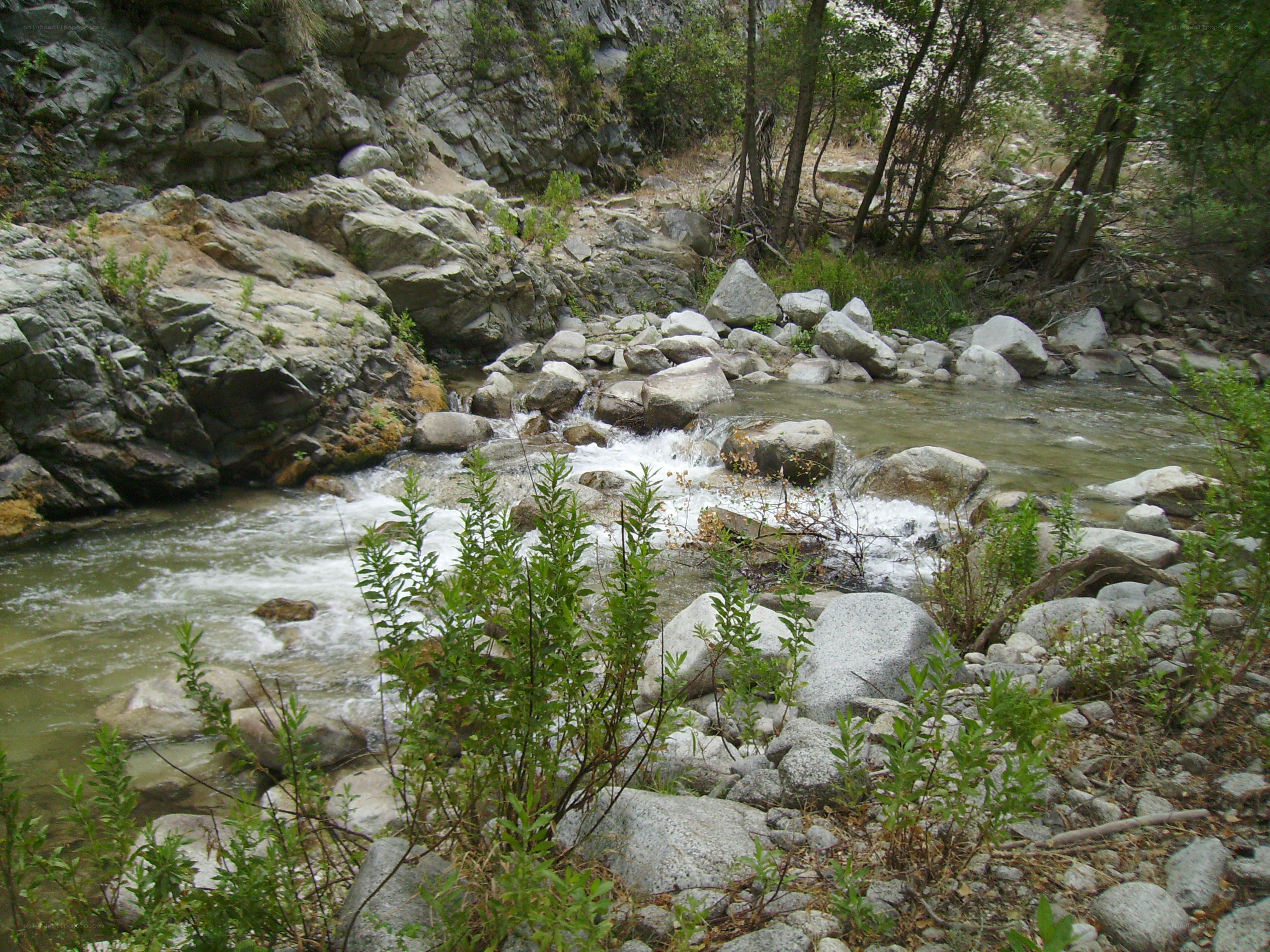 River flowing through rocky canyon