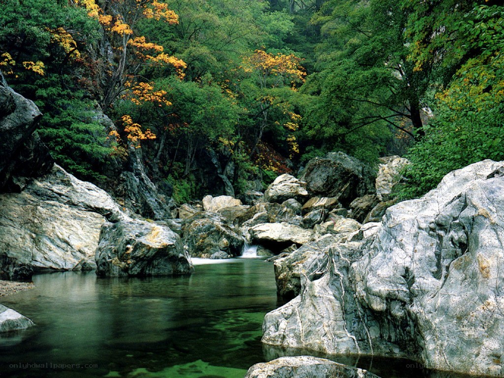 River flowing through rocky forest