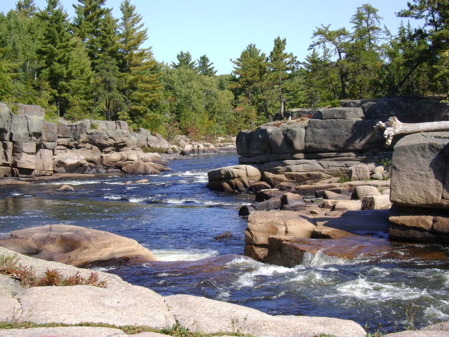 river flowing through rocky forest