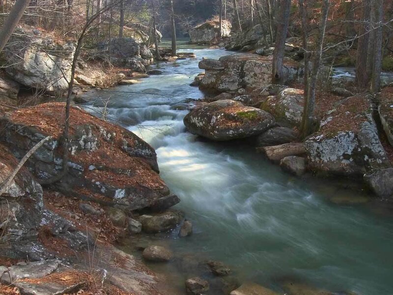 River flowing through rocky forest