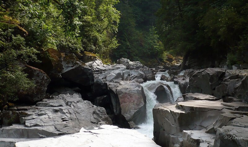 River flowing through rocky forest