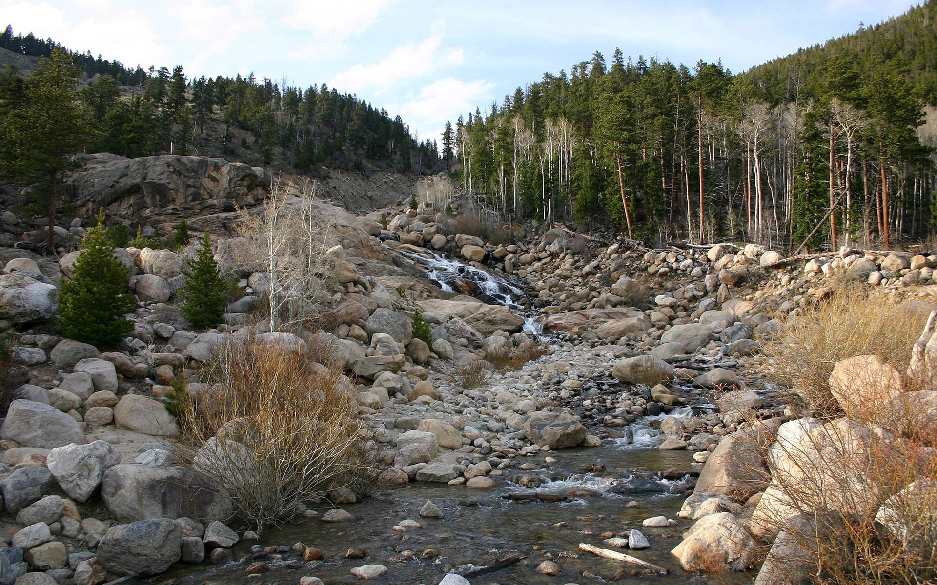 River flowing through rocky forest