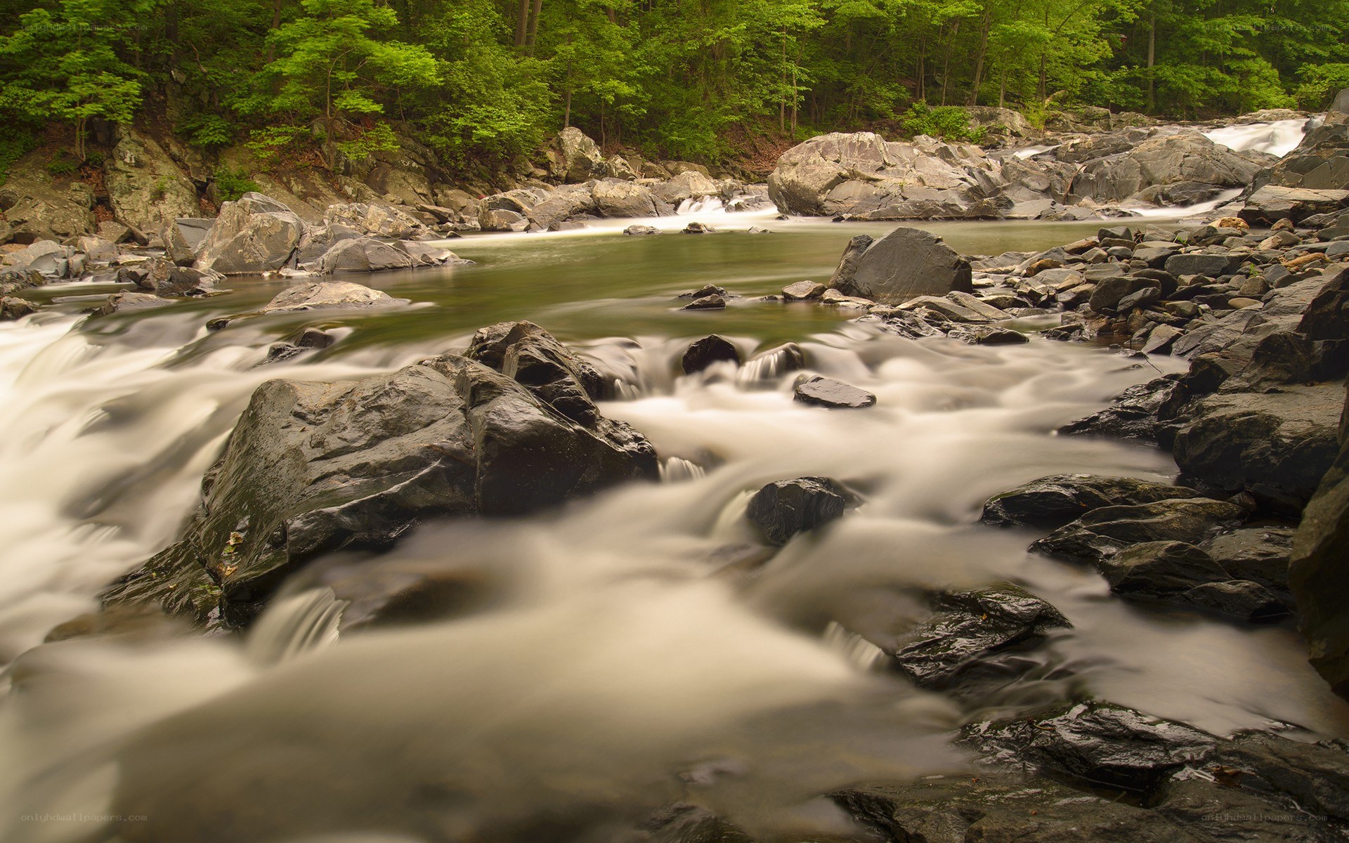 River flowing through rocky forest