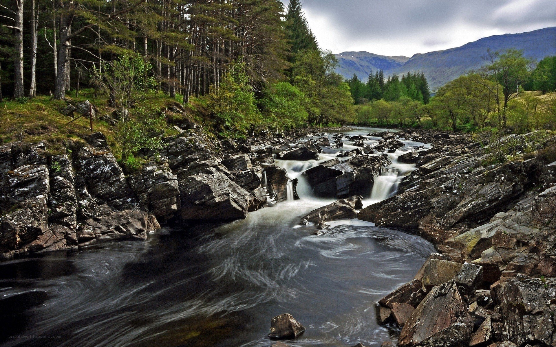 River flowing through rocky forest